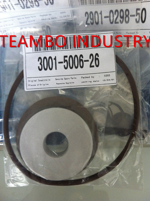 Valve Kit 3001500626